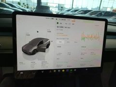 Tesla Model Y Facelift Rear-Wheel Drive - ფოტო 11