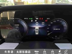 FAW Hongqi HS5 2.0T Two-Wheel Drive Mystic Shadow Edition - фото 16