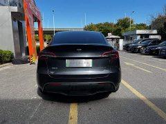 Tesla Model Y Rear-Wheel Drive - ფოტო 6