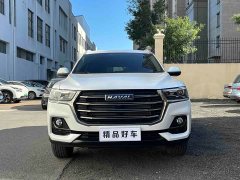 Haval H6 National Trend Edition 1.5T Automatic Urban Version - ფოტო 1