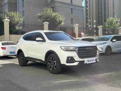 Haval H6 National Trend Edition 1.5T Automatic Urban Version - ფოტო 3