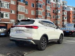 Haval H6 National Trend Edition 1.5T Automatic Urban Version - ფოტო 5