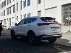 Haval H6 National Trend Edition 1.5T Automatic Urban Version - ფოტო 6