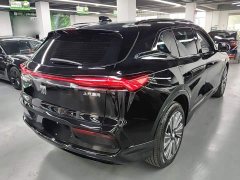 Buick E5 Premium Standard Range Edition - ფოტო 6