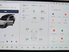 Li Auto L9 Ultra - ფოტო 11
