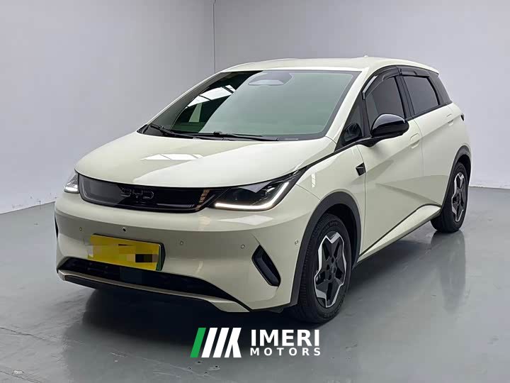 BYD Dolphin Smart Drive 420km Freedom Edition