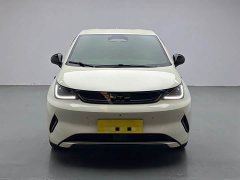 BYD Dolphin Smart Drive 420km Freedom Edition - ფოტო 2