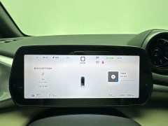 BYD Dolphin Smart Drive 420km Freedom Edition - ფოტო 9