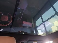 BYD Song L EV 662km Excellence Edition - ფოტო 17