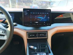 BYD Song L DM-i 112km Transcendence - ფოტო 12
