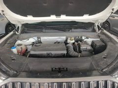 Chery Tiggo 9 2.0T Automatic AWD Flagship 5-Seater - ფოტო 19