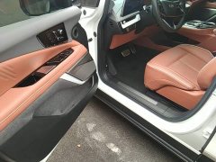 Cadillac IQ Aoge Standard Range - ფოტო 15