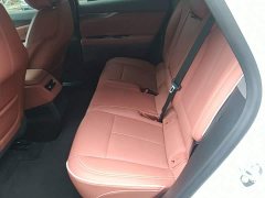 Cadillac IQ Aoge Standard Range - ფოტო 16