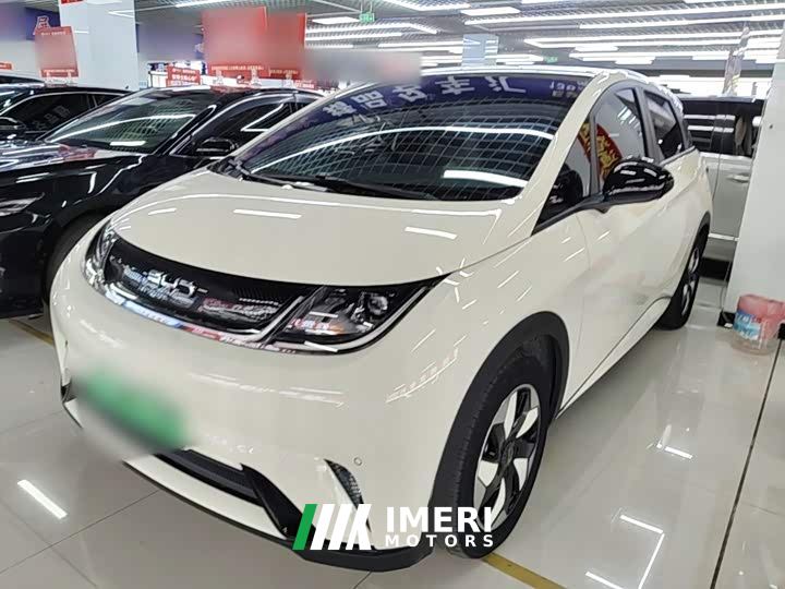 BYD Dolphin Glory Edition 420km Fashion Version
