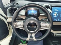 BYD Dolphin Glory Edition 420km Fashion Version - ფოტო 10