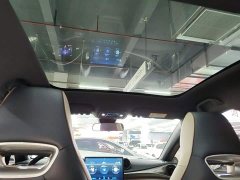 BYD Dolphin Glory Edition 420km Fashion Version - ფოტო 17