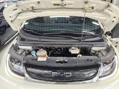 BYD Dolphin Glory Edition 420km Fashion Version - ფოტო 19