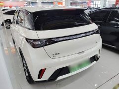 BYD Dolphin Glory Edition 420km Fashion Version - ფოტო 4