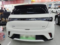 BYD Dolphin Glory Edition 420km Fashion Version - ფოტო 5