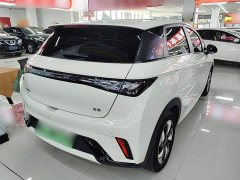 BYD Dolphin Glory Edition 420km Fashion Version - ფოტო 6