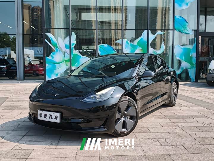 Tesla Model 3 Rear-Wheel Drive