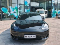 Tesla Model 3 Rear-Wheel Drive - ფოტო 3
