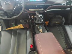 GAC Aion M6 PRO 270T DCT Luxury - ფოტო 13