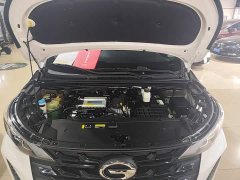 GAC Aion M6 PRO 270T DCT Luxury - ფოტო 19