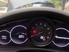 Porsche Panamera 2.9T - ფოტო 12