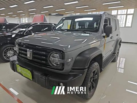 2022 Tank 300 Off-Road Edition 2.0T Conqueror - ავტომობილი ჩინეთიდან