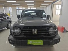 Tank 300 Off-Road Edition 2.0T Conqueror - ფოტო 2