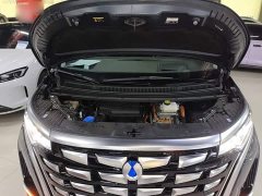 Denza D9 DM-i 970 AWD Flagship - photo 19