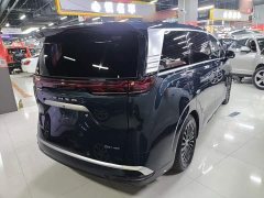 Denza D9 DM-i 970 AWD Flagship - photo 6