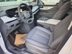 Buick GL8 Luxurious Edition Premium Trim - ფოტო 10