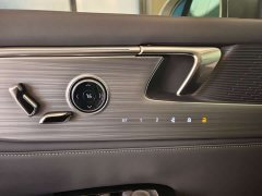 Buick GL8 Luxurious Edition Premium Trim - ფოტო 11
