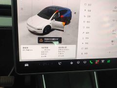 Tesla Model Y Rear-Wheel Drive - ფოტო 11