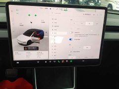 Tesla Model Y Rear-Wheel Drive - ფოტო 12
