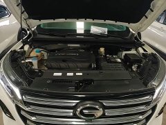 GAC Aion GS4 270T Automatic Smart Connected Technology Edition - ფოტო 19