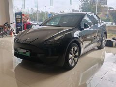 Tesla Model Y Long Range All-Wheel Drive - photo 1