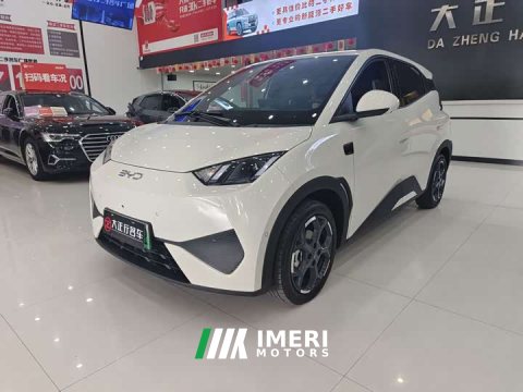 2025 BYD Seagull Smart Drive 405km Freedom Edition - ავტომობილი ჩინეთიდან