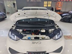 BYD Seagull Smart Drive 405km Freedom Edition - photo 13
