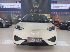 BYD Seagull Smart Drive 405km Freedom Edition - photo 2