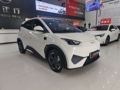 BYD Seagull Smart Drive 405km Freedom Edition - photo 3