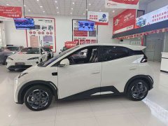 BYD Seagull Smart Drive 405km Freedom Edition - photo 4