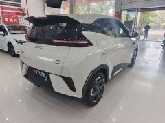 BYD Seagull Smart Drive 405km Freedom Edition - photo 6