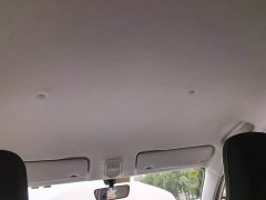Wuling Binguo 203km Light Enjoy Edition - ფოტო 17
