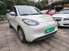 Wuling Binguo 203km Light Enjoy Edition - ფოტო 3