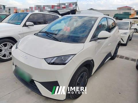 2025 BYD Seagull 305km Vitality Edition