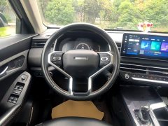 Haval Chitu Jingxiang Edition 1.5T Purple Copper Rabbit - фото 10