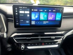 Haval Chitu Jingxiang Edition 1.5T Purple Copper Rabbit - фото 12